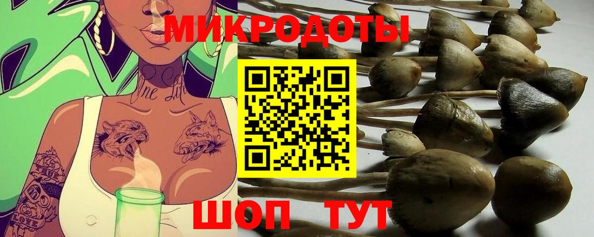Галлюциногенные грибы мицелий Воркута